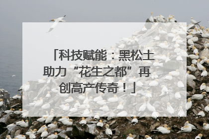 科技赋能：黑松土助力“花生之都”再创高产传奇！